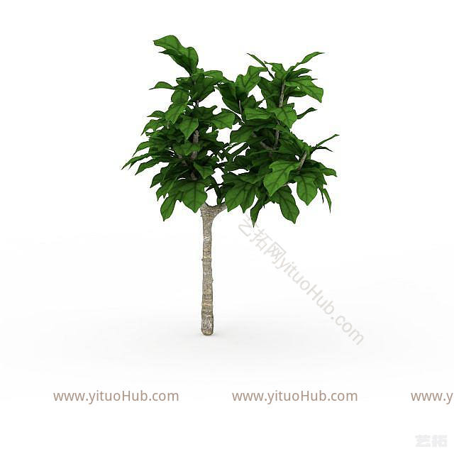现代景观绿植模型