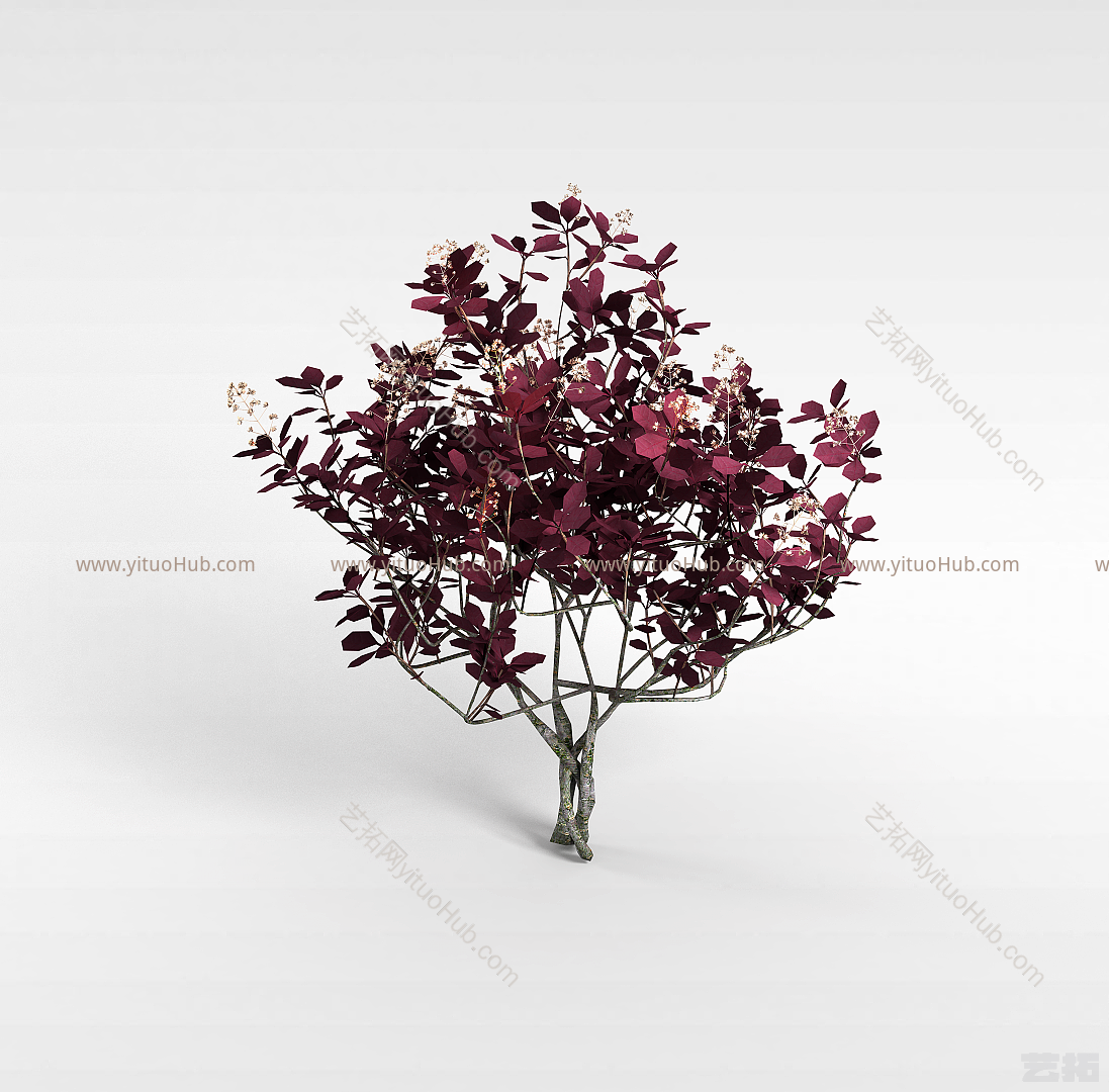 现代红色开花灌木模型