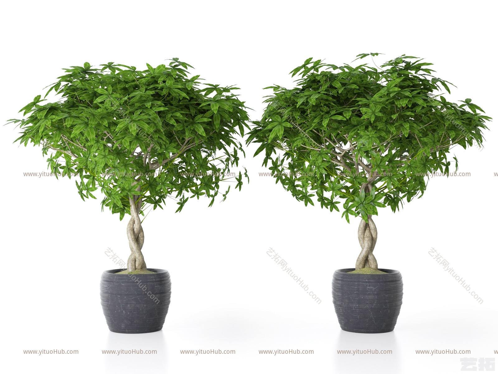 现代风格绿植 植物 盆栽