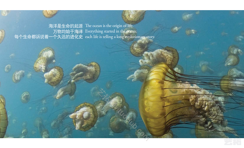 AECOM·烟台经济技术开发区海滨地区景观设计及海滨路规划