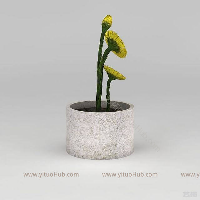 现代黄色小花盆栽模型