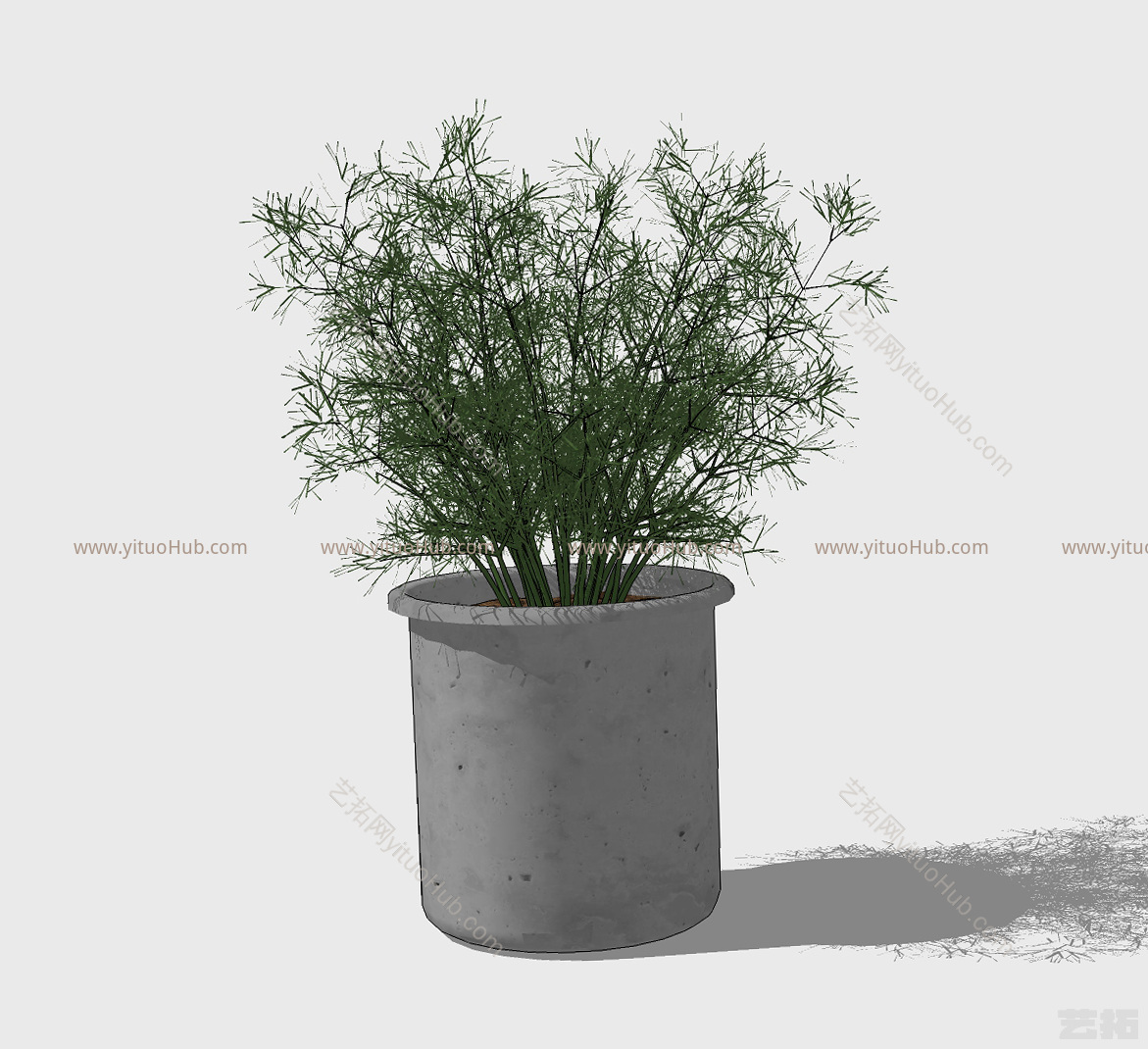 现代植物盆栽