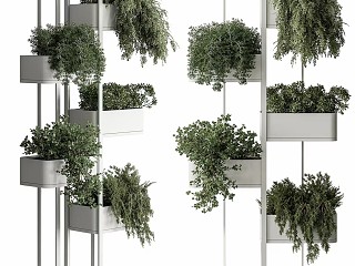 现代室内植物架