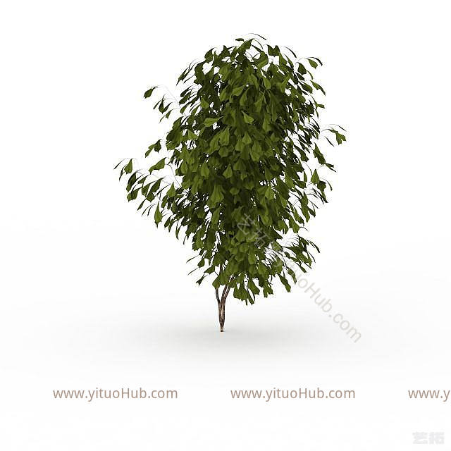现代观赏绿植模型