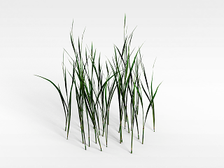 现代野草模型