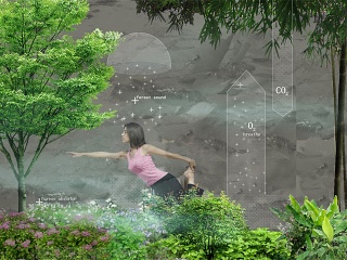 003竞赛风景观疗法效果图