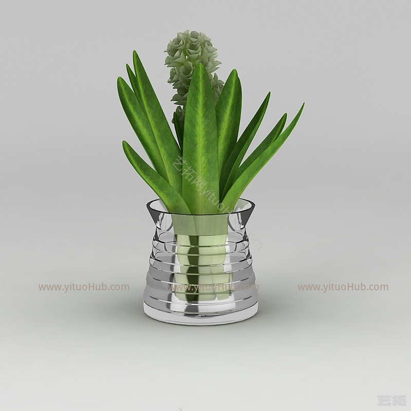现代花盆绿植风信子模型