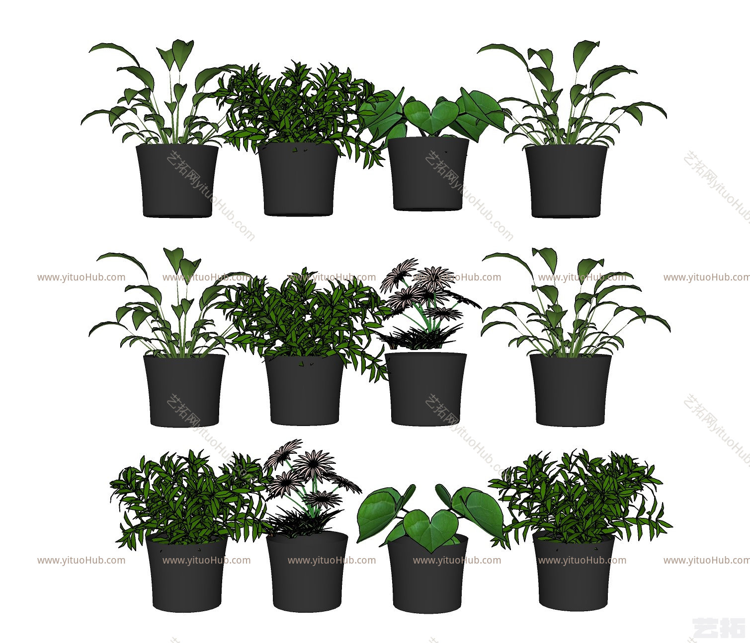绿植盆栽 植物 花盆
