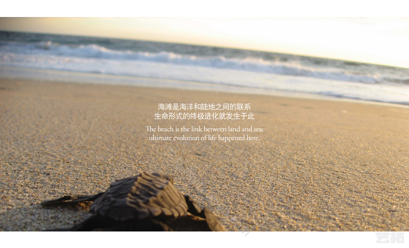 AECOM·烟台经济技术开发区海滨地区景观设计及海滨路规划