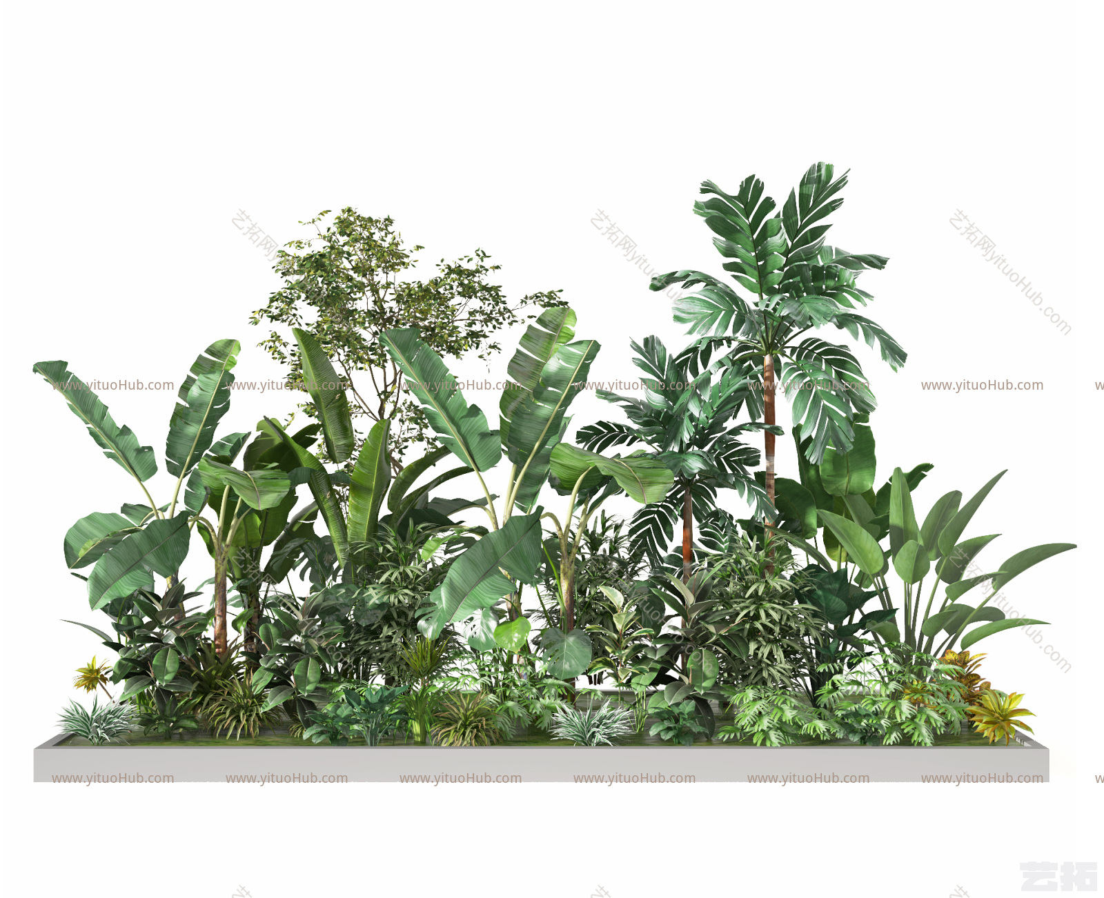 现代植物堆 绿植堆 植物