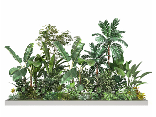 现代植物堆 绿植堆 植物