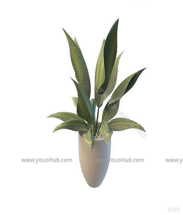 现代盆栽花瓶模型