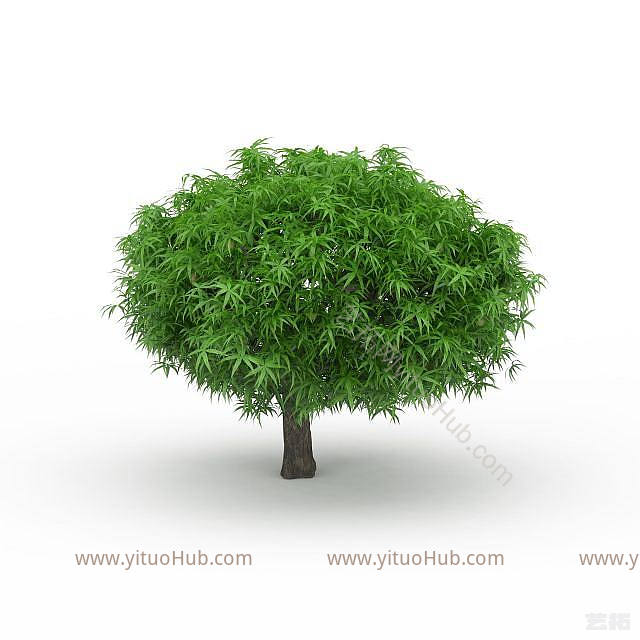 现代小榕树模型