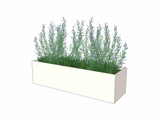 现代植物盆栽草图大师
