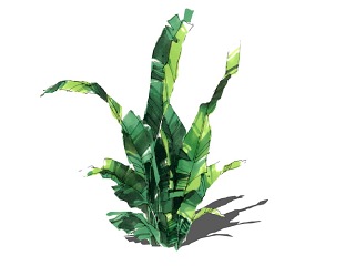 2D手绘树