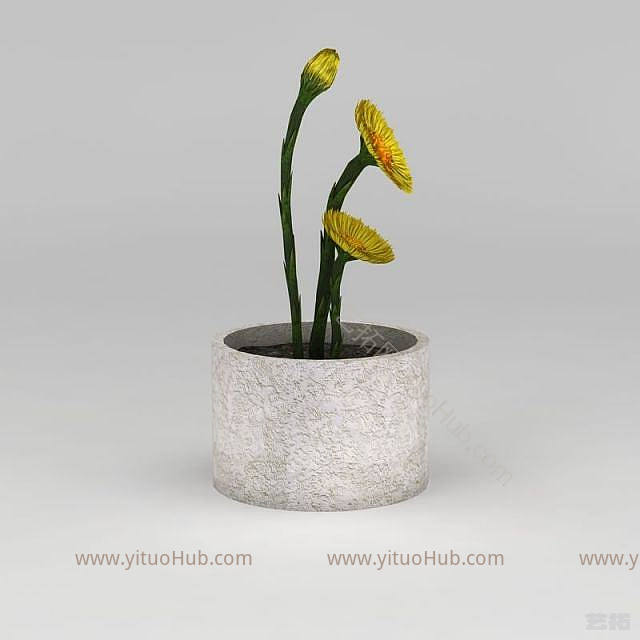 现代黄色小花盆栽模型