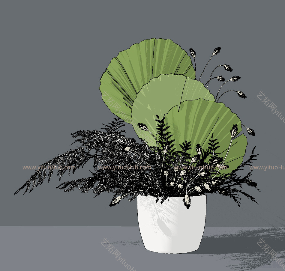 现代花卉盆栽,