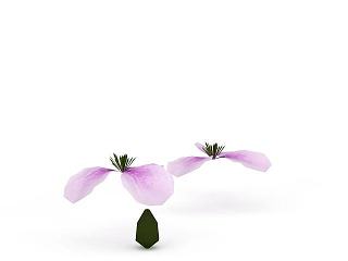 紫色花模型