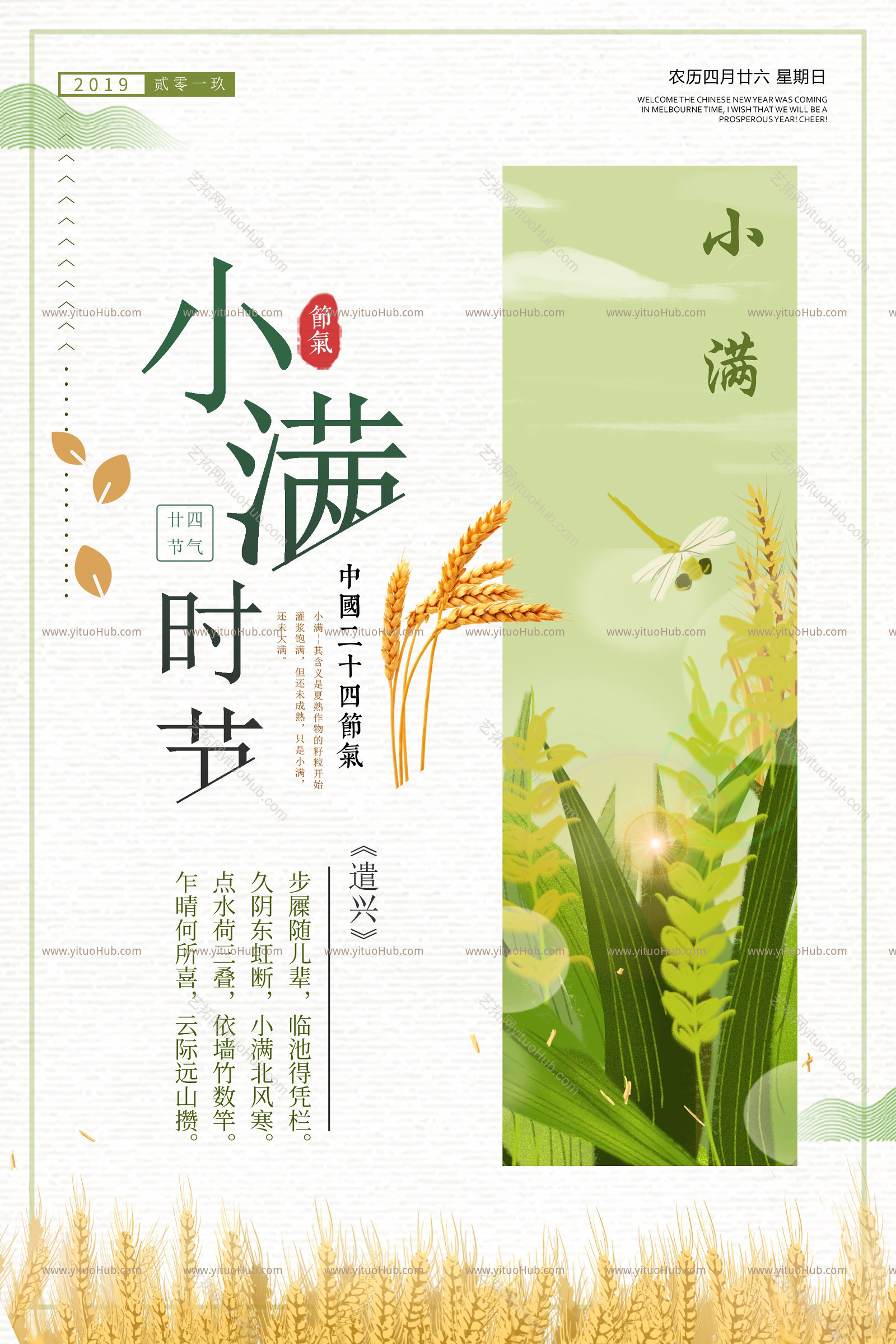 二十四节气报-小满