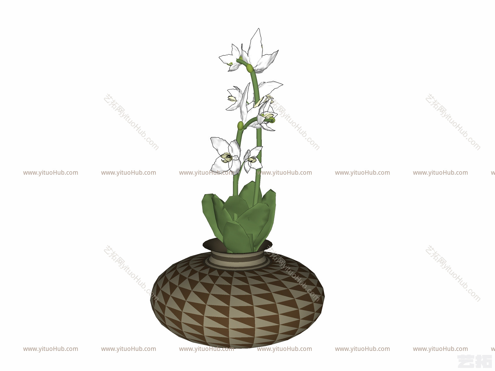 现代植物盆栽草图大师