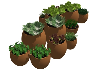 现代盆栽 绿植 植物 摆件 花盆