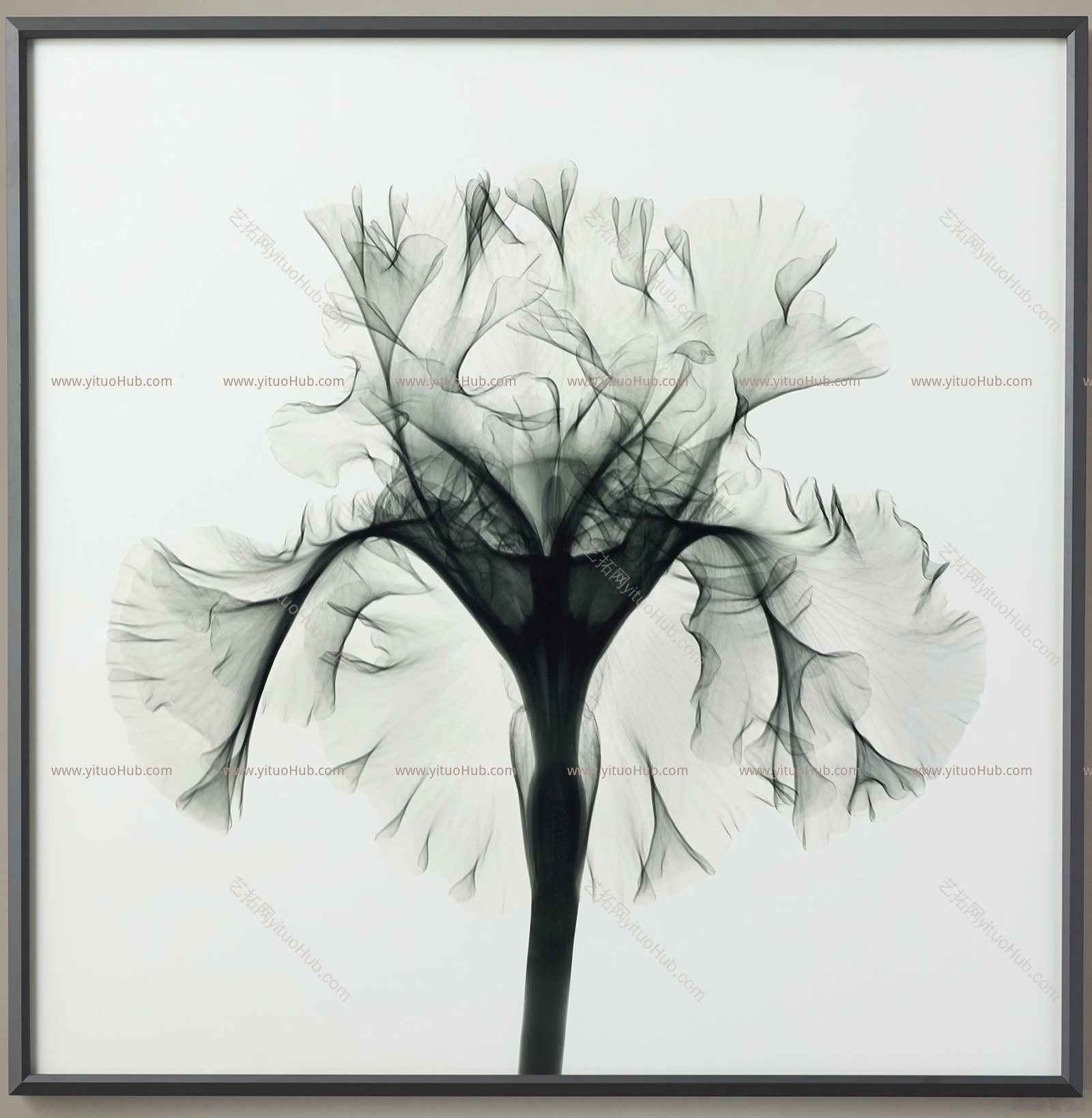 装饰画