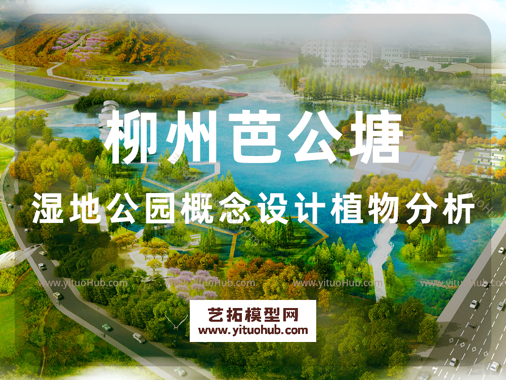 柳州芭公塘湿地公园概念设计植物分析