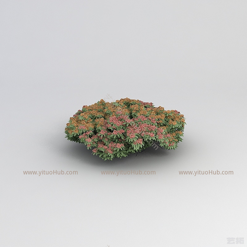 现代植物花草绿植模型