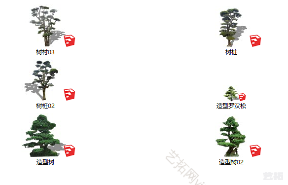 现代造型景观树罗汉松植物合集