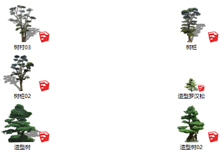 现代造型景观树罗汉松植物合集