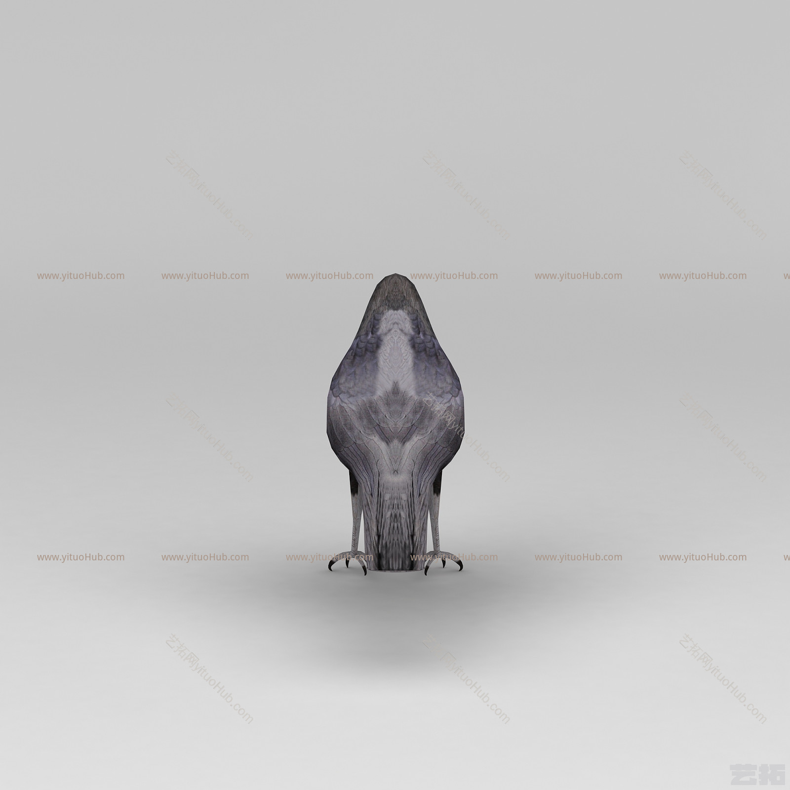 现代乌鸦模型