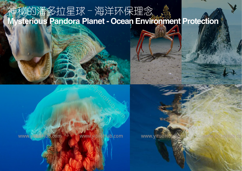 ASPECT·重庆约克北郡光环商业景观方案文本