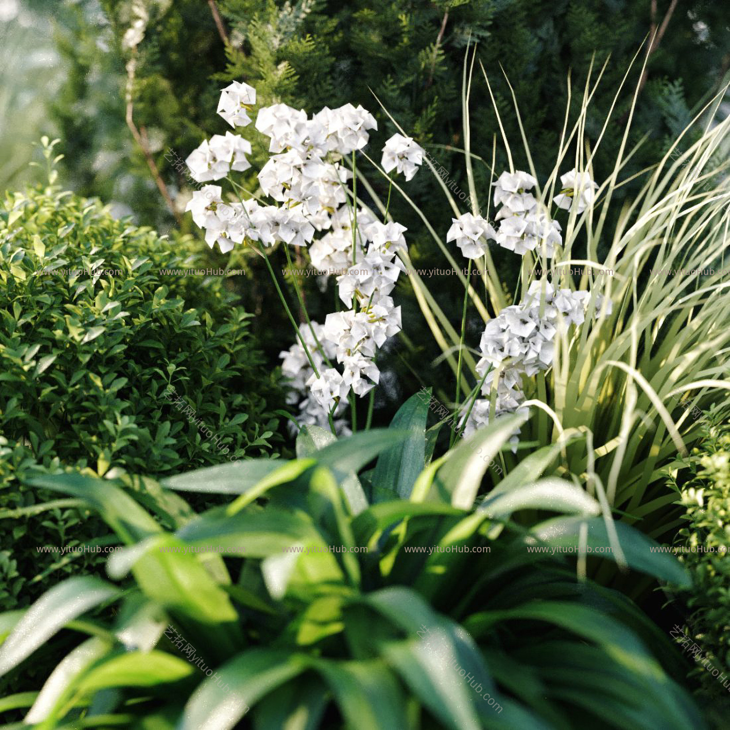 植物堆 花丛