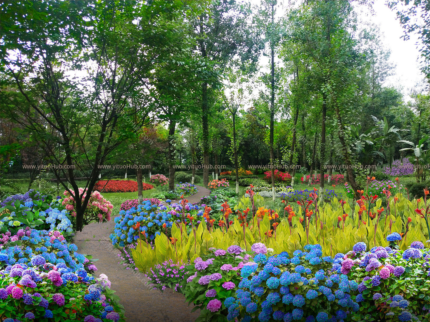 林下花镜绣球花主题公园效果图