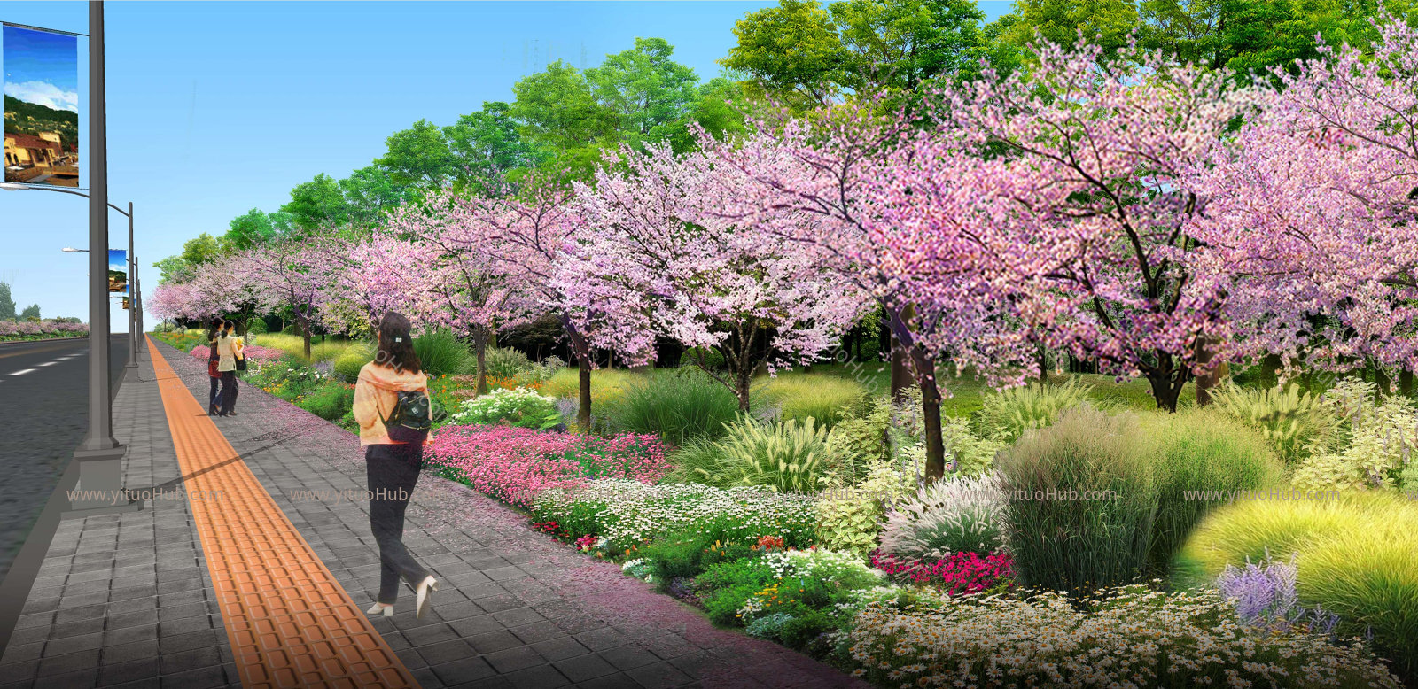 公路道路两侧花镜植物组团免扣