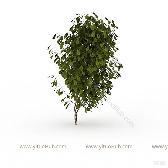现代观赏绿植模型