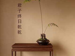 现代植物摆件
