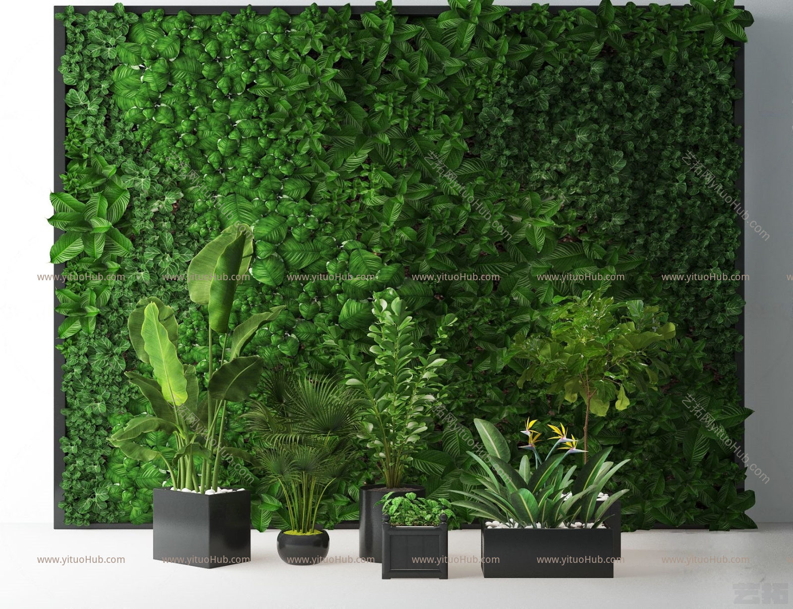 现代植物墙绿植盆栽