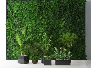 现代植物墙绿植盆栽