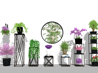 现代植物盆栽花架