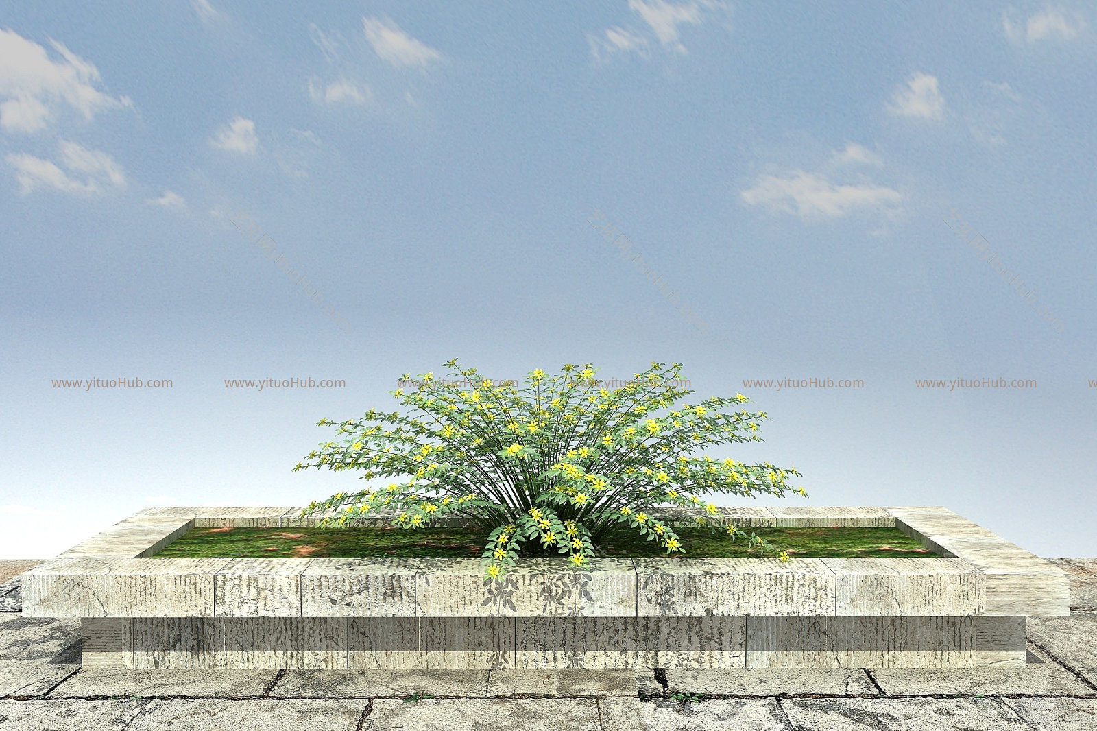 现代景观植物模型