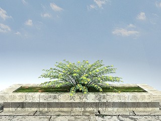 现代景观植物模型