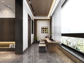 现代玄关 入户花园