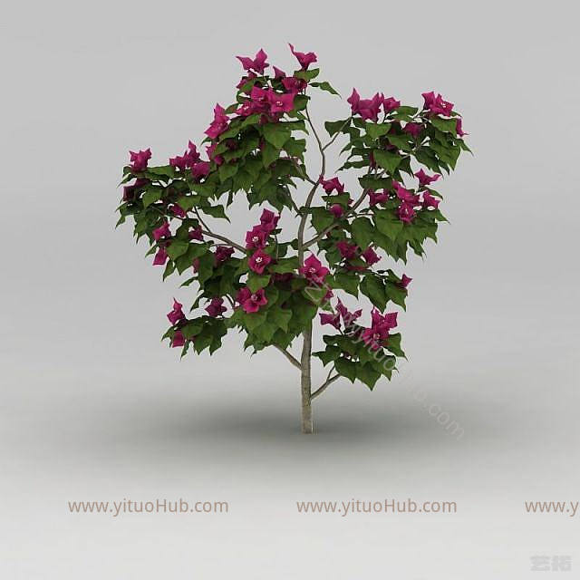 现代开花灌木模型