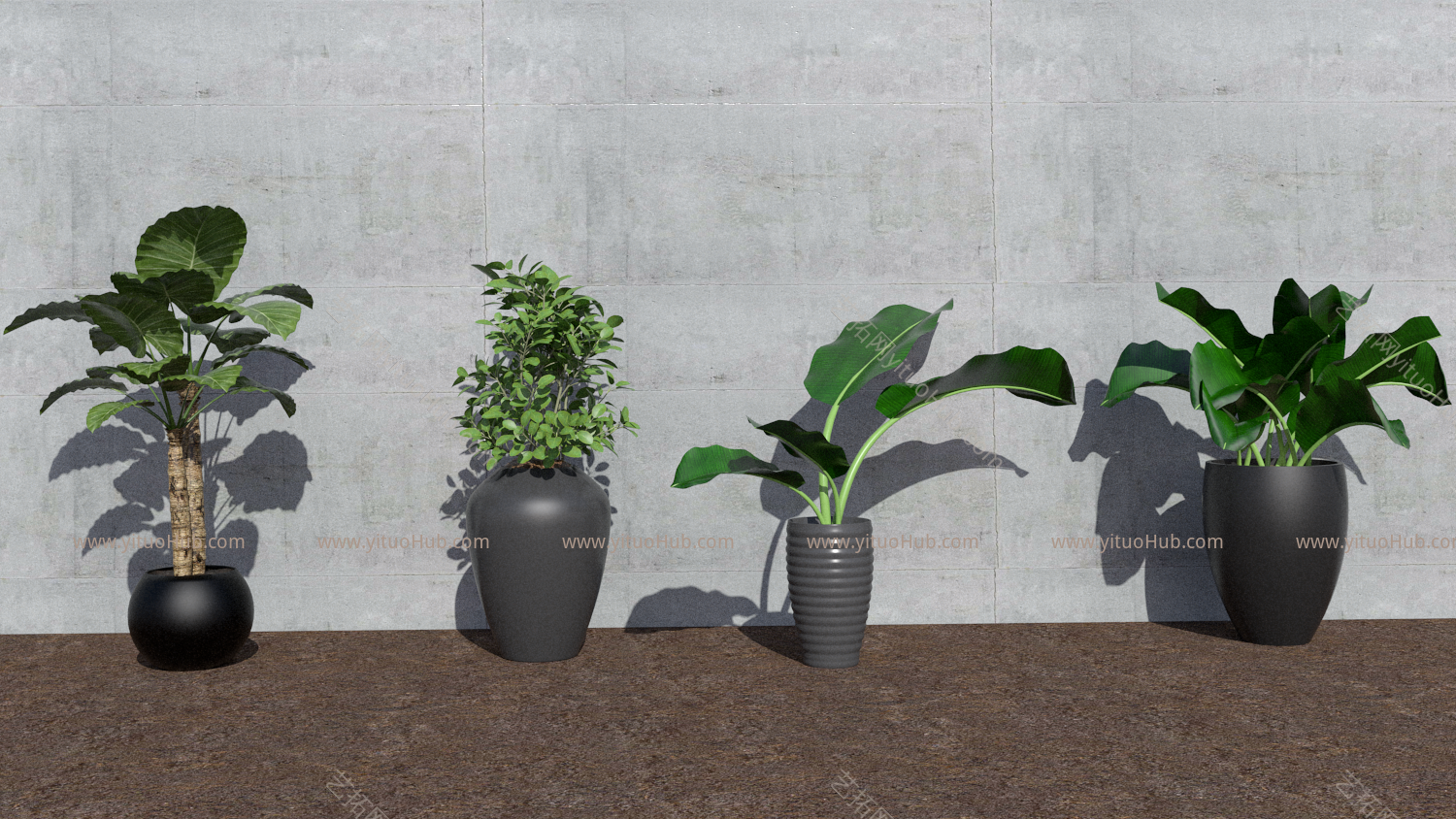 现代植物盆栽组合