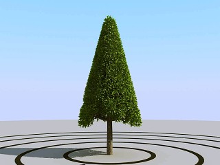 现代景观树小树