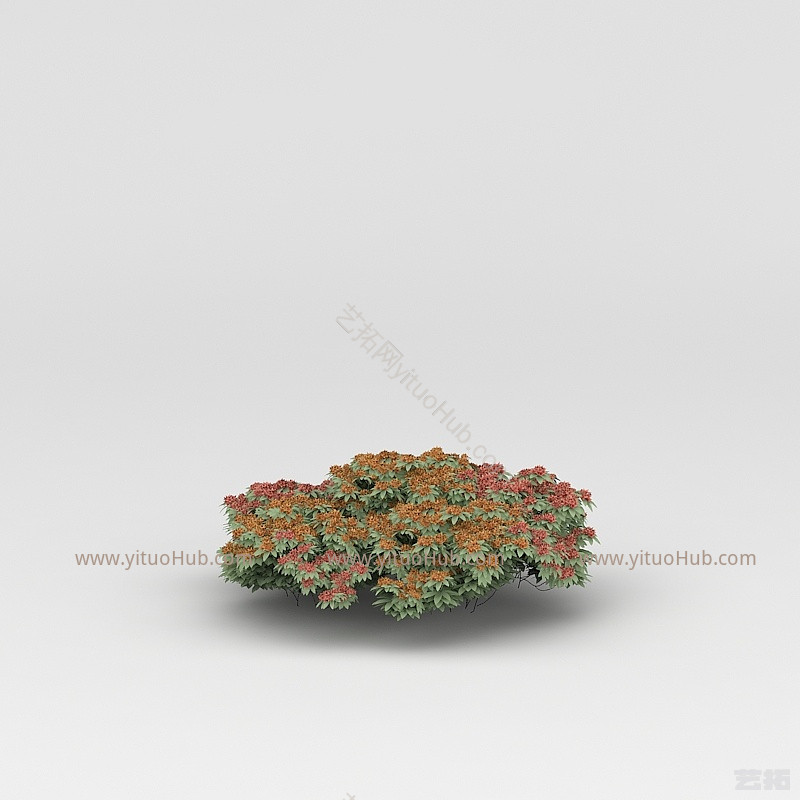 现代植物花草绿植模型