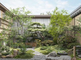 庭院景观，后院，景观园艺小品，植物堆，绿植树木，景观山石草坪，迎客松