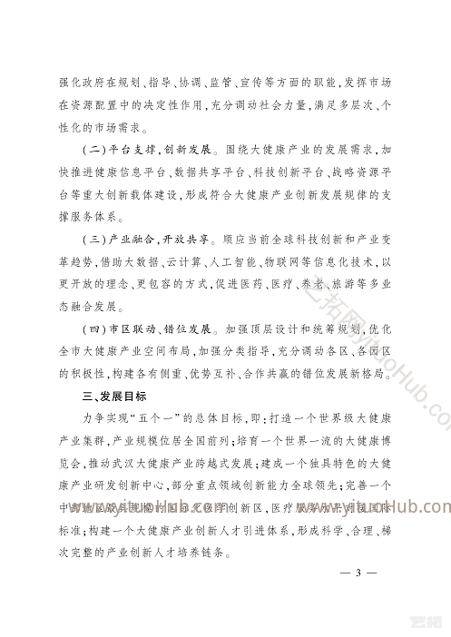 武汉市大健康产业发展规划
