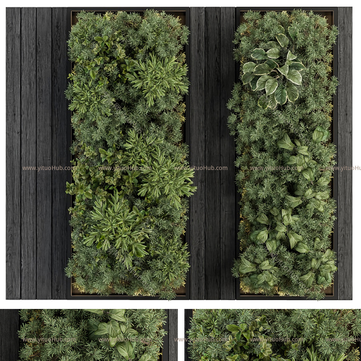 现代植物花草绿植墙饰